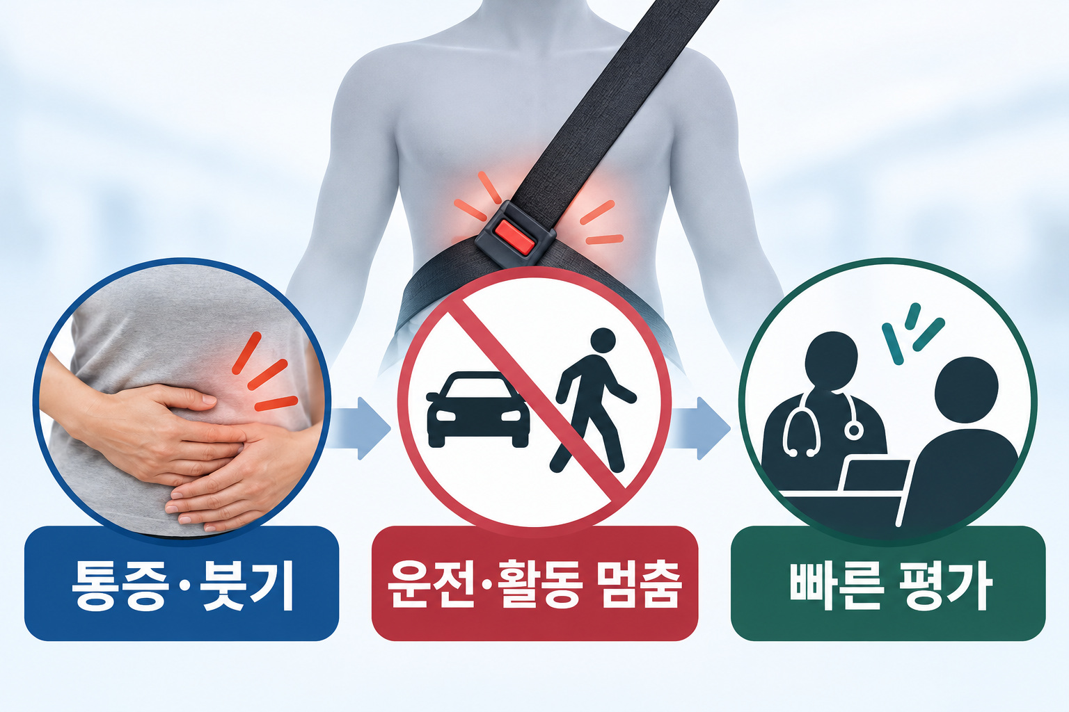 안전벨트 자국 뒤 통증·붓기와 활동 중단·빠른 평가 순서를 보여 주는 인포그래픽